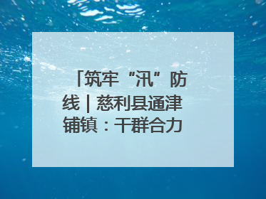 筑牢“汛”防线｜慈利县通津铺镇：干群合力抗击洪灾
