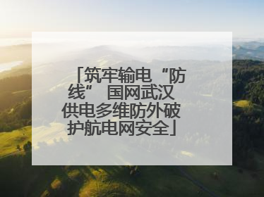 筑牢输电“防线” 国网武汉供电多维防外破护航电网安全