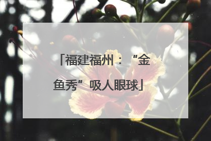 福建福州：“金鱼秀”吸人眼球