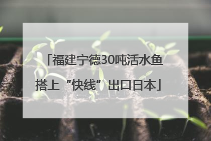 福建宁德30吨活水鱼搭上“快线”出口日本