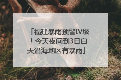 福建暴雨预警Ⅳ级！今天夜间到3日白天沿海地区有暴雨