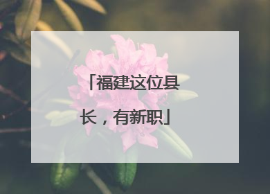 福建这位县长，有新职