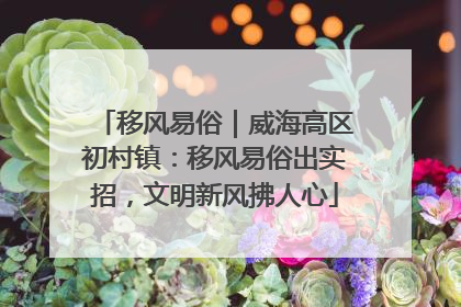 移风易俗｜威海高区初村镇：移风易俗出实招，文明新风拂人心