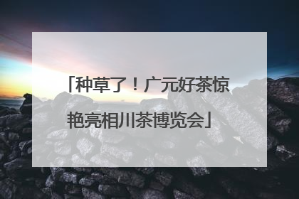 种草了！广元好茶惊艳亮相川茶博览会