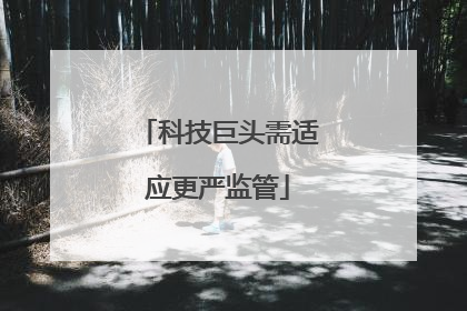 科技巨头需适应更严监管