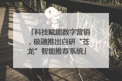 科技赋能数字营销，极融推出自研“苍龙”智能推荐系统