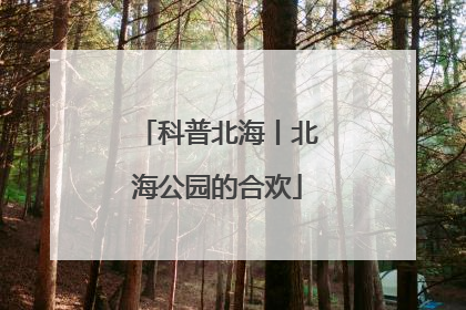 科普北海丨北海公园的合欢