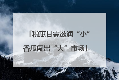 税惠甘霖滋润“小”香瓜闯出“大”市场
