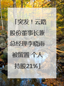 突发！云路股份董事长兼总经理李晓雨被留置 个人持股21%
