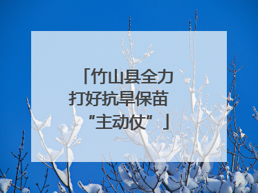 竹山县全力打好抗旱保苗“主动仗”
