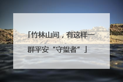 竹林山间，有这样一群平安“守望者”