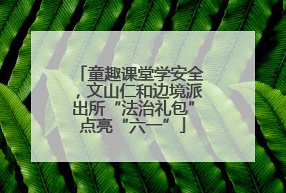 童趣课堂学安全，文山仁和边境派出所“法治礼包”点亮“六一”
