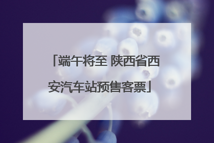 端午将至 陕西省西安汽车站预售客票