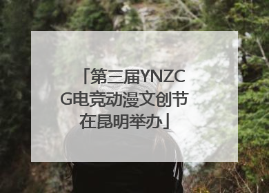第三届YNZCG电竞动漫文创节在昆明举办
