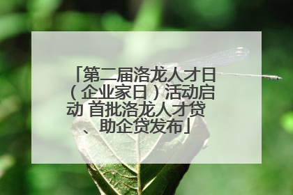 第二届洛龙人才日（企业家日）活动启动 首批洛龙人才贷、助企贷发布