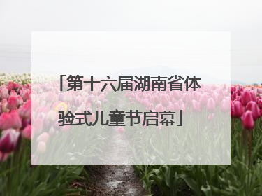 第十六届湖南省体验式儿童节启幕