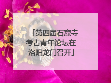 第四届石窟寺考古青年论坛在洛阳龙门召开