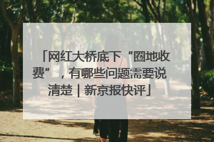 网红大桥底下“圈地收费”，有哪些问题需要说清楚｜新京报快评