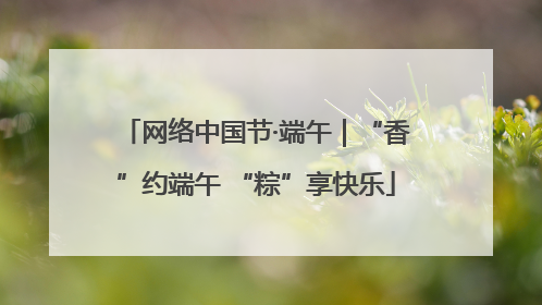网络中国节·端午｜“香”约端午 “粽”享快乐