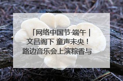网络中国节·端午｜文昌阁下 童声未央！路边音乐会上演粽香与童真的诗意交响