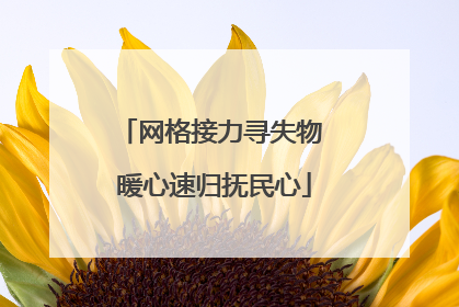 网格接力寻失物 暖心速归抚民心