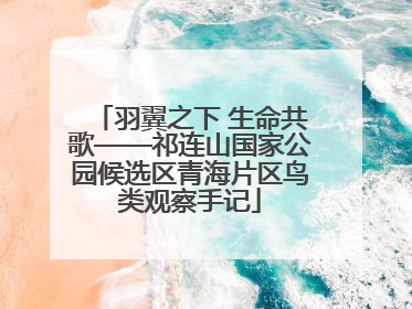 羽翼之下 生命共歌——祁连山国家公园候选区青海片区鸟类观察手记