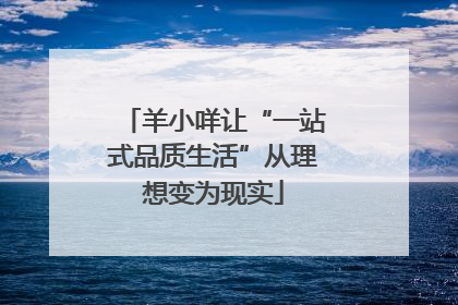 羊小咩让“一站式品质生活”从理想变为现实