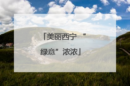 美丽西宁 “绿意”浓浓