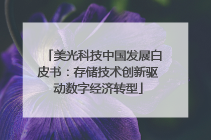 美光科技中国发展白皮书：存储技术创新驱动数字经济转型