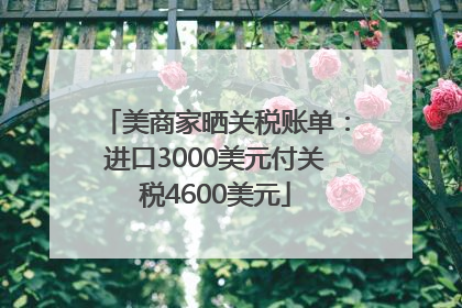 美商家晒关税账单：进口3000美元付关税4600美元