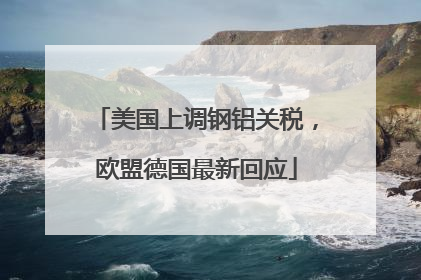 美国上调钢铝关税，欧盟德国最新回应