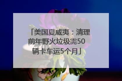 美国夏威夷：清理前年野火垃圾需50辆卡车运5个月