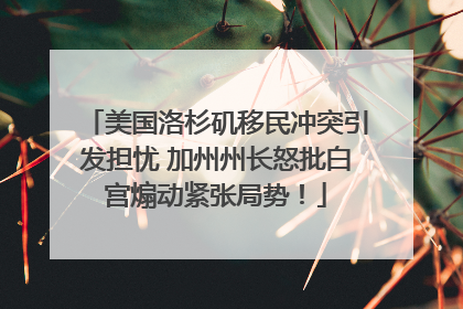 美国洛杉矶移民冲突引发担忧 加州州长怒批白宫煽动紧张局势！
