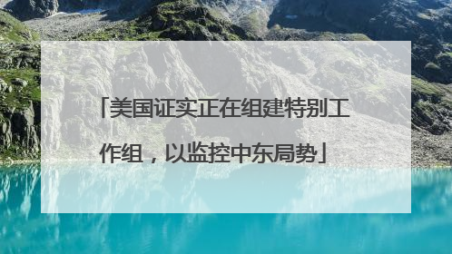 美国证实正在组建特别工作组，以监控中东局势