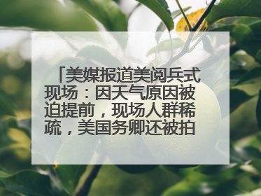 美媒报道美阅兵式现场：因天气原因被迫提前，现场人群稀疏，美国务卿还被拍到打哈欠