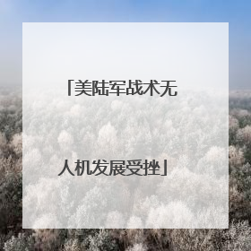 美陆军战术无人机发展受挫