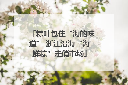 粽叶包住“海的味道” 浙江沿海“海鲜粽”走俏市场