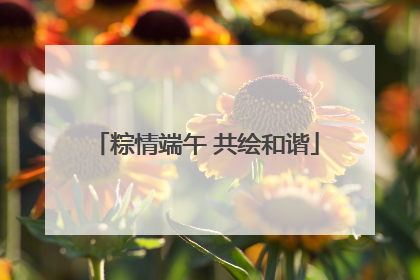 粽情端午 共绘和谐
