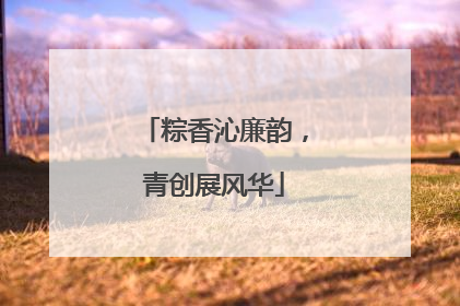 粽香沁廉韵，青创展风华
