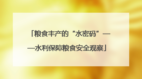 粮食丰产的“水密码”——水利保障粮食安全观察