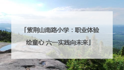 紫荆山南路小学：职业体验绘童心 六一实践向未来