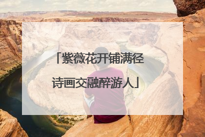 紫薇花开铺满径 诗画交融醉游人