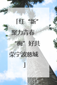 红“新”聚力青春 “梅”好共荣宁波慈城