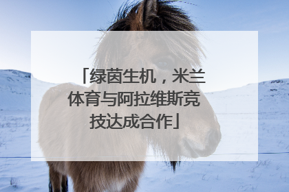绿茵生机，米兰体育与阿拉维斯竞技达成合作