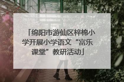 绵阳市游仙区梓棉小学开展小学语文“富乐课堂”教研活动
