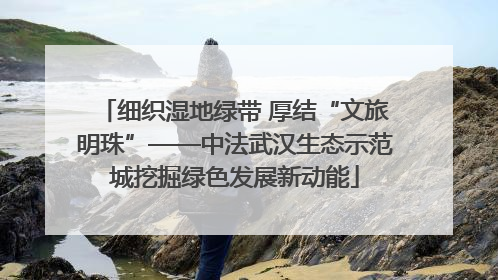 细织湿地绿带 厚结“文旅明珠”——中法武汉生态示范城挖掘绿色发展新动能