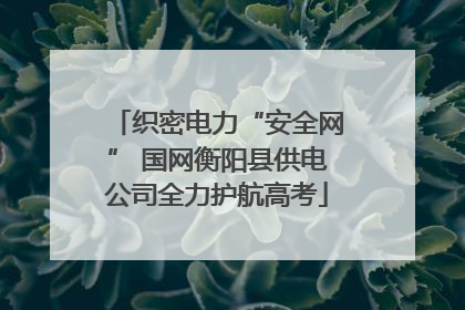 织密电力“安全网” 国网衡阳县供电公司全力护航高考