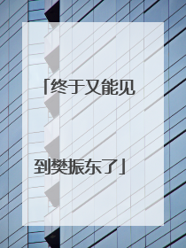 终于又能见到樊振东了