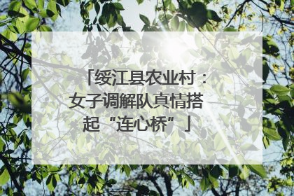 绥江县农业村：女子调解队真情搭起“连心桥”