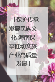 保护传承发展民族文化 海南保亭推动文旅产业高质量发展